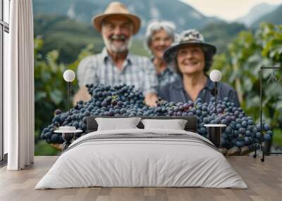 Portrait of an elderly couple with a crop of grapes in their vineyard in the mountains Wall mural