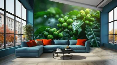 Close-up of unripe green coffee beans on a plant in a lush environment. Wall mural