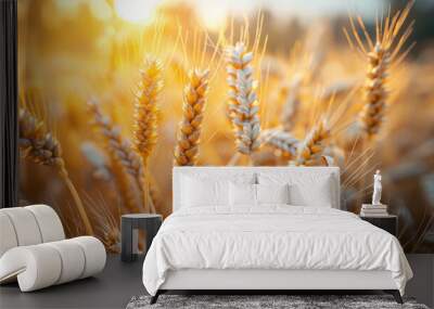 Golden wheat field shining under the light of the setting sun Wall mural