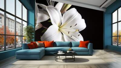 White Lily on a black background. Wall mural