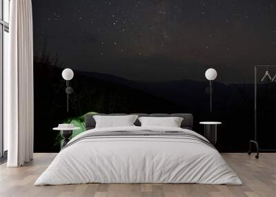 Night photography tents in the mountains and the starry sky. Wall mural