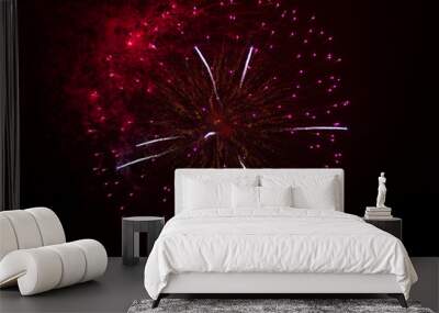 fireworks in the night sky Wall mural