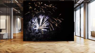 fireworks in the night sky Wall mural