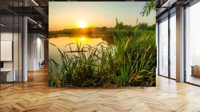 Summer morning on lake , reed on the lake . Red sky and red sun , reed on the beach .Trees and grass , morning nature . Sunrise over the lake and forest , reflections on the water , sun reflection.  Wall mural