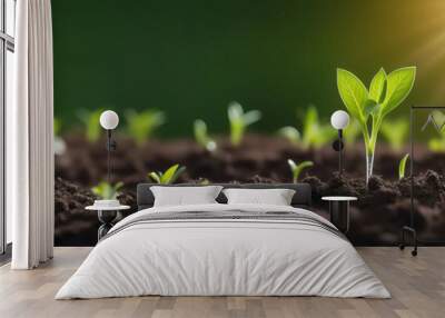 Close-up tender first sprouts of soybean in the open field over sunrise. Agricultural plants. The soybean plant stretches towards sun. plant tree. Copy space banner. Close-Up Of Fresh Green Plant Wall mural