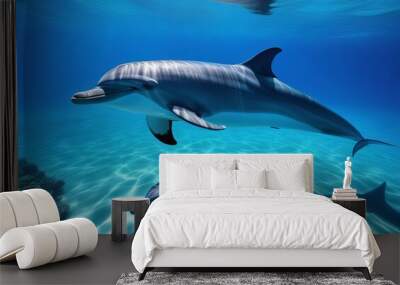 Dolphins swimming under the blue sea Wall mural