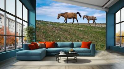 horses in the mountains Wall mural