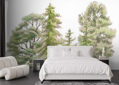 set. oak, aspen, pine, spruce. hand-drawn illustration. Trees and fir trees, colorful leaves, a watercolor set of trees on an isolated background. Wall mural