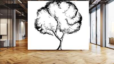 Set of tree Minimal style cad tree stilization line graphics trees logo elements outline symbol for architecture and landscape design drawing. Vector illustration isolated on white background Wall mural