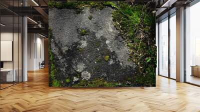 overgrowing of old asphalt with green moss Wall mural