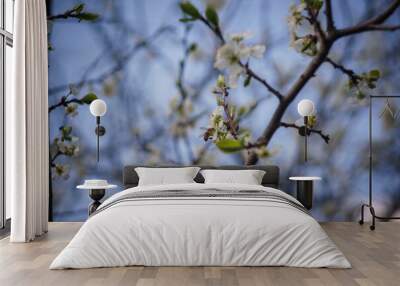 spring branches Wall mural