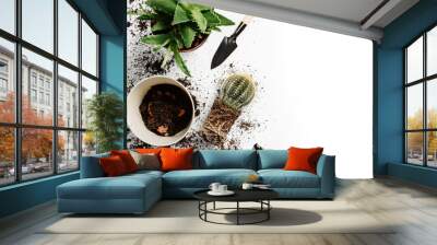 Gardening tools and houseplants on a white background with copy space. Wall mural