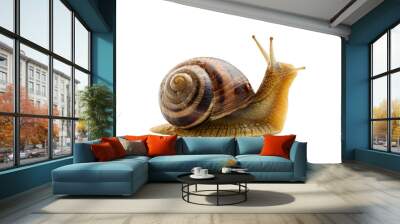 grape snail cut without background. Wall mural