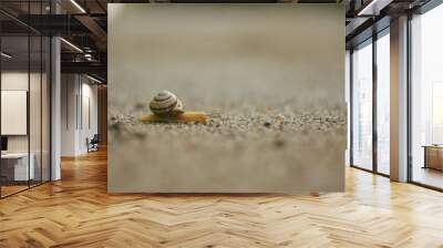 snail on the road Wall mural