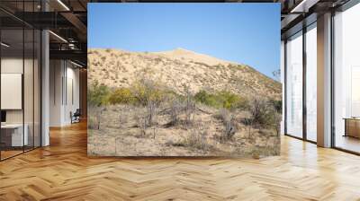 Mountains of sand in the desert. Dagestan, the Caucasus Wall mural