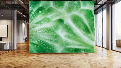 cucumber close-up natural background Wall mural