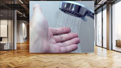 hand in the shower test water temperature Wall mural