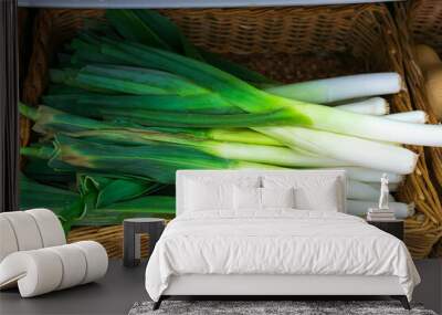 Raw green organic leeks ready to chop, close-up selective focus. Wall mural