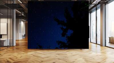 starry night sky stars nature Wall mural