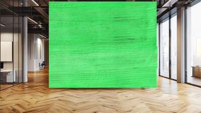 Vintage green wood background texture. Old painted wood. Green abstract background, banner Wall mural