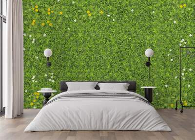 Summer field with grass and flowers. Top view. Abstract green grass texture with white and yellow flowers. View from above. Wall mural