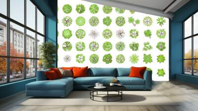 Trees top view. Different plants and trees vector set for architectural or landscape design. (View from above) Nature green spaces. Wall mural