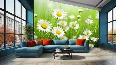 their white petals contrasting with the lush green grass. Wall mural