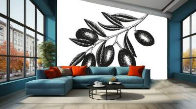 Hand drawn olive branch with fruits and leaves for Italian, Greek cuisine design, extra virgin oil food or cosmetic product packaging wrapper. Vector illustration isolated on white background Wall mural