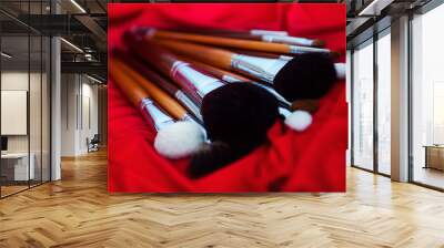 Close-up of set of professional different sizes make-up brushes on red silk background with copy place. Skin care and fashion. Selective focus Wall mural