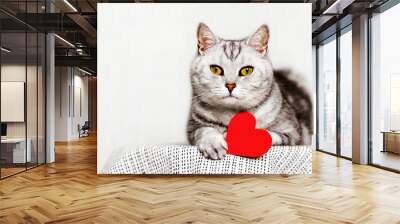 Cute british tabby cat holds red paper heart as symbol of Valentine's Day. Copy space Wall mural