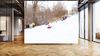 Families and friends happily slide down a snow-covered slope on inner tubes, enjoying a fun-filled winter day at an outdoor recreation area. Children and adults enjoy tubing down a snowy hill Wall mural