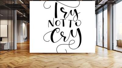 Try not to cry black calligraphy isolated on white background, vector elements for posters, photo overlays, greeting card, t-shirt print and social media. Wall mural