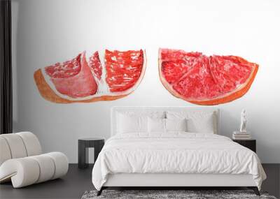 watercolor set red grapefruit slice Wall mural