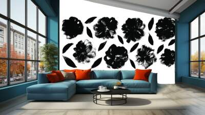 Brush black flowers textured silhouettes. Hand drawn black paint ink illustration. Vector brush strokes textured plants. Silhouettes of spring chrysanthemum flowers. Isolated botanical elements Wall mural