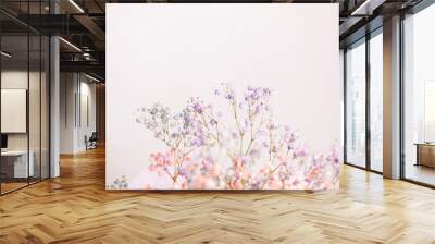 Beautiful decoration cute little dried colorful flowers, background, wallpaper. Wall mural