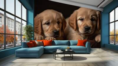 Golden retriever puppies rest on a minimalistic background. Generative AI Wall mural