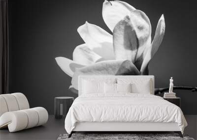 white flower on black background Wall mural