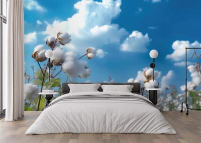 
White cotton flowers on a background of blue sky with white clouds.
 Wall mural