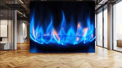 High quality background with flames of blue natural gas from a gas burner. Wall mural