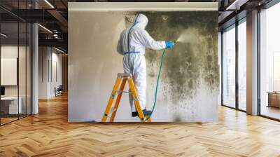 mold treatment for walls Wall mural