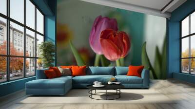 two tulips Wall mural