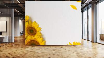 Large beautiful yellow sunflowers in white background. Wall mural