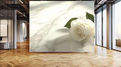 A delicate white rose rests peacefully on an elegant marble surface, illuminated by gentle natural light, capturing a moment of serene beauty. Generative AI Wall mural