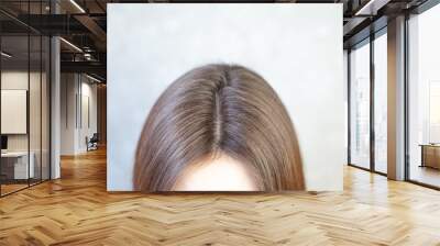 The head of a woman with a parting of gray hair. A woman does her hair. Brown hair on a woman's head close-up. Wall mural