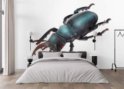 Large blue beetle, toy beetle on a white background, isolated Wall mural