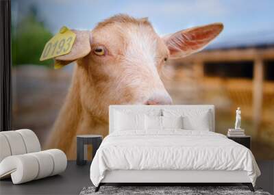 One goat's head is sticking out of the stall, looking curiously at the passing cattle. Wall mural