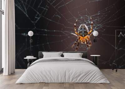 Spider on the web Wall mural