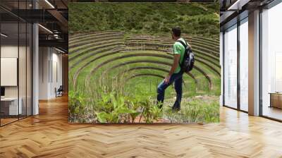 A person on the territory Inca terraces of Moray. Moray is an archaeological site near the Sacred Valley Wall mural