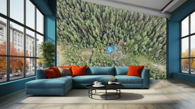 mountain Altai Wall mural