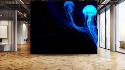 Beautiful jellyfish moving through the water neon lights Wall mural